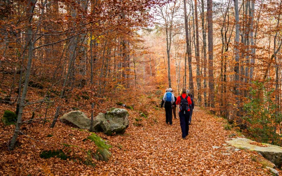 Seasonal Adventure Sports Offerings Bring New Risks
